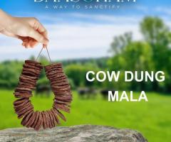 Cow Dung Patties